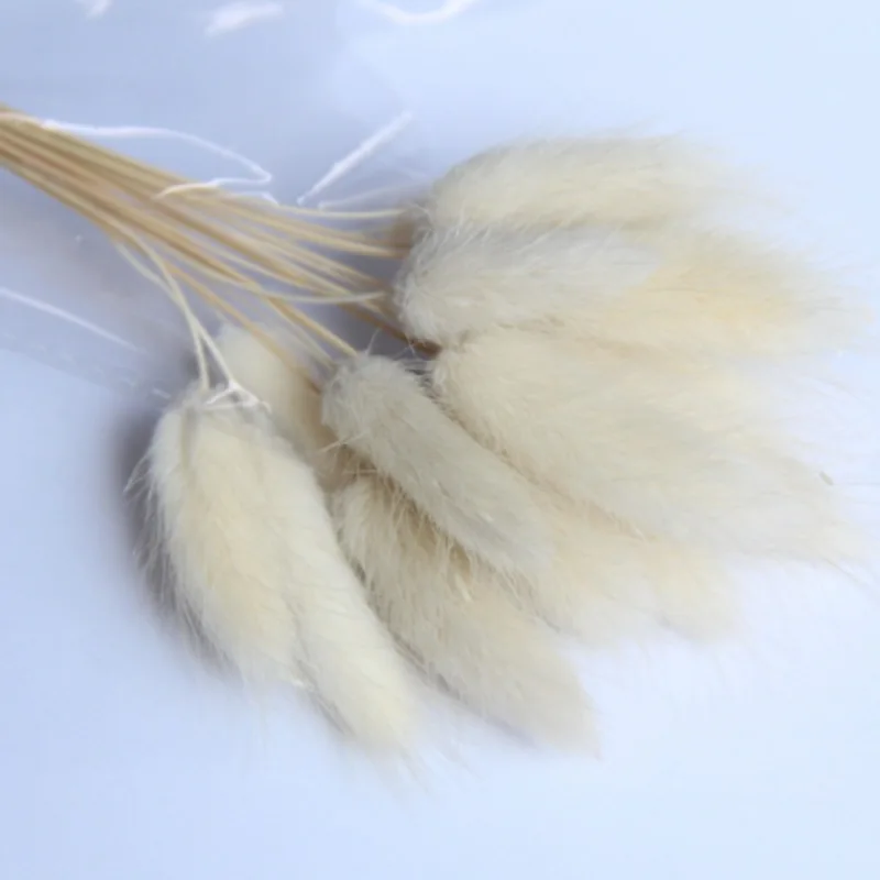 60 шт. трава с кроличьим хвостом Натуральные сушеные цветы для украшения дома