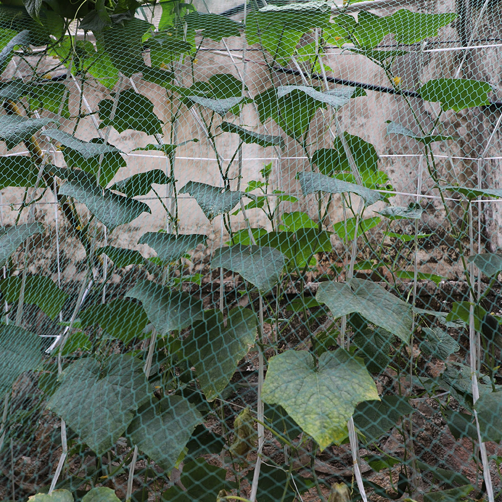 

2X3M Garden Netting Kit Protect Plants Fruits Flowers Trees Pond Protection Net Pools Cover Net Anti-falling Leaf Net Plant Mesh