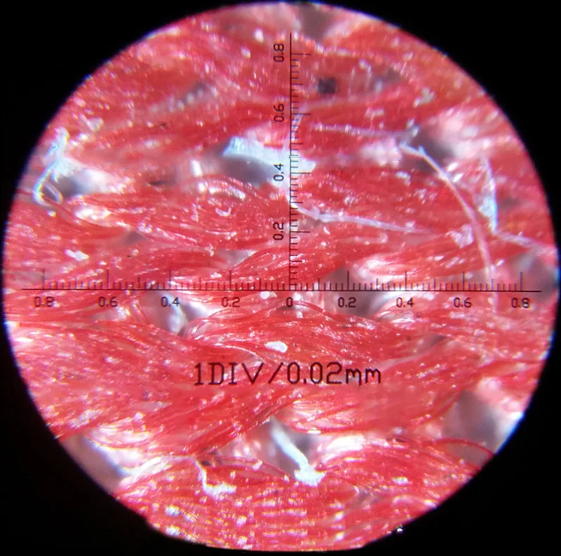 Оптическая линза 100 раз двойная трубка с координатой Портативный микроскоп
