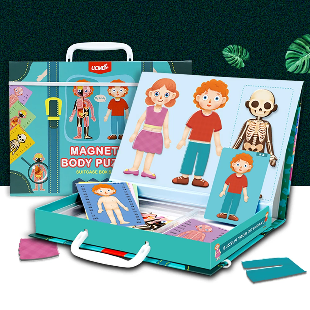 Магнитная 3D головоломка для человеческого тела конструкция игрушка Когнитивная