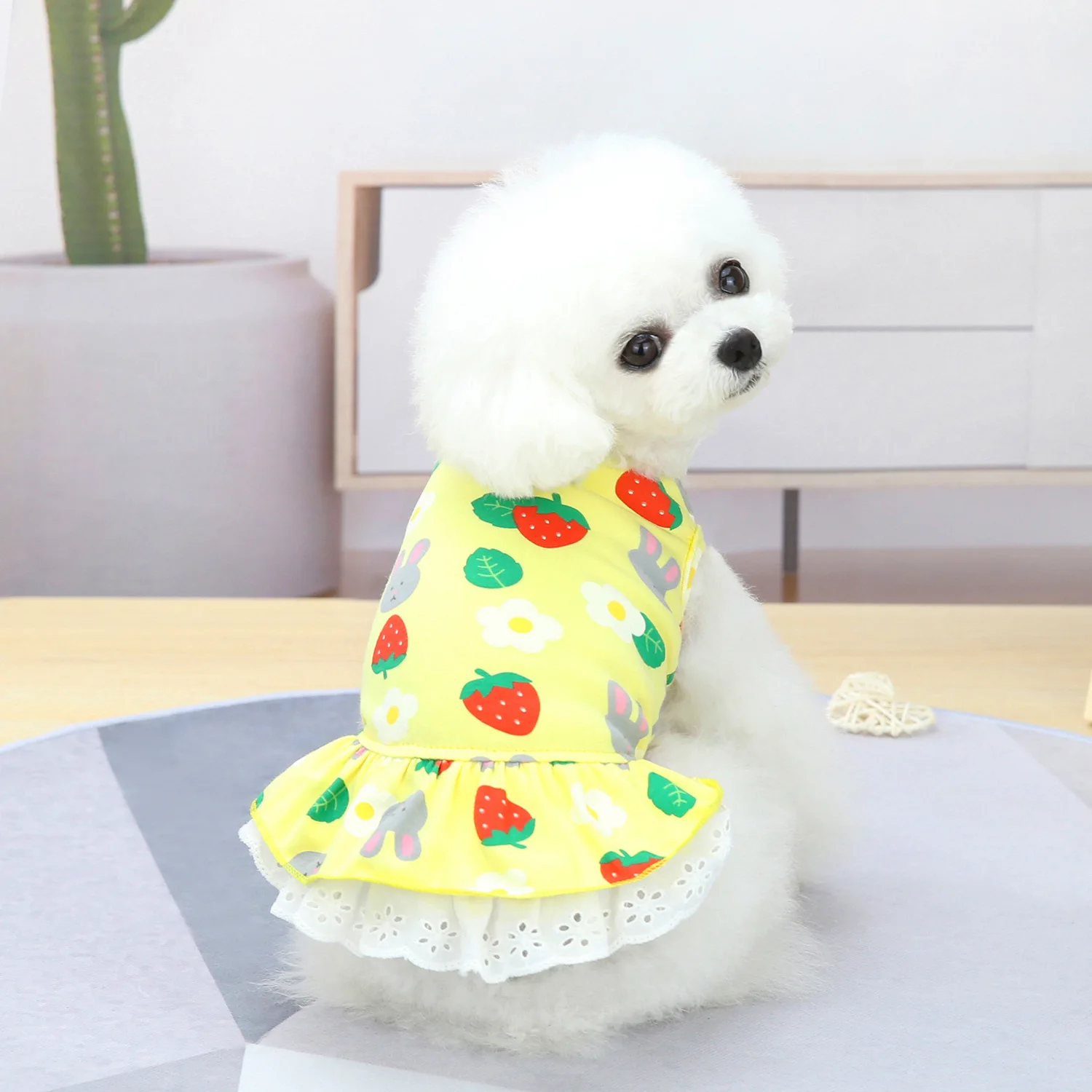 

Dog Clothes For Small Dogs Dress Spring Summer Puppy Small Dog Princess Chihuahua Dog Roupa Pet Cachorro
