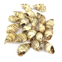 natural shell fashion conch pendants exquisite charms for jewelry making diy bracelet necklaces earring accessories size 15x28mm