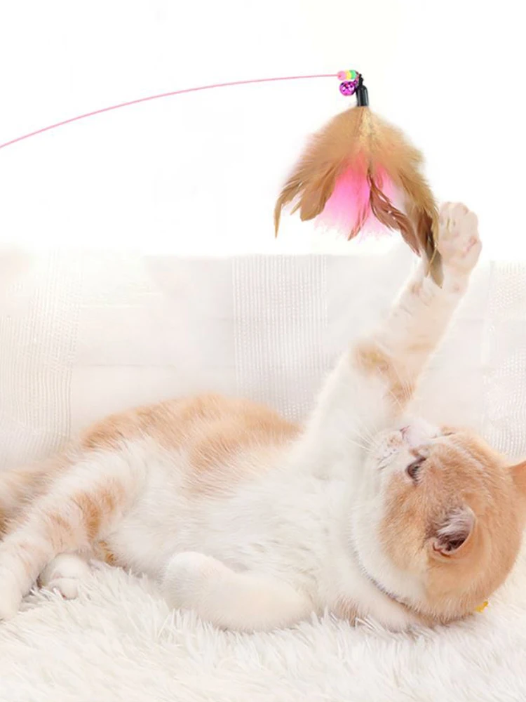

Funny Cat Toy Fishing Rod Kitten Cat Pet Toy Stick Teaser Rainbow Streamer Interactive Cat Play Wand With Feather Toys For Cats