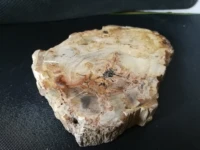 343 8gnatural fossil wood chips quartz crystal agate flower stone coasters landscape pieces