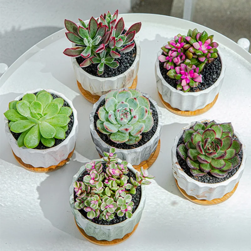 1 шт. керамические горшки для цветов | Дом и сад