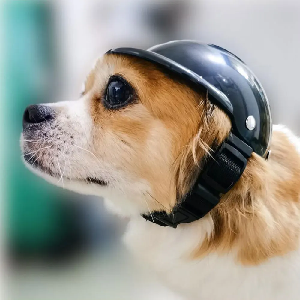 Игрушка для домашних животных шляпа полезные Красивая Байкерская собака шапка