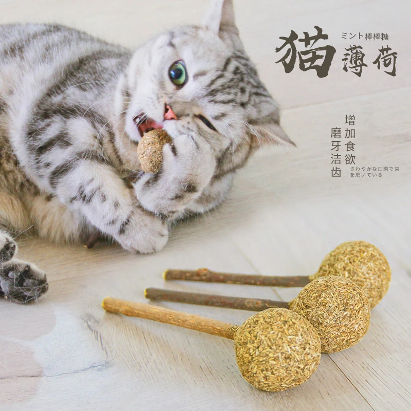 

Cat wood day Polygonum cat Mint cat toy lollipop molar stick cat tooth cleaning stick tease cat lollipop cat toy
