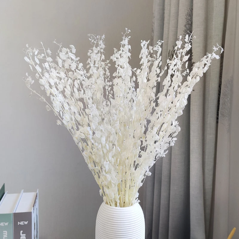 

50-60cm Preserved Flower Artificial Plant Lysimachia Centerpiece Decorative Scandinavian Decor DIY House Table Art Wedding Party