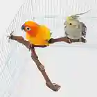 Стоячая палочка для домашних животных, попугай, дикая Виноградная деревянная палочка, попугай для кокатила, кусающая Когтеточка, игрушка для шлифовки, аксессуары для птичьей клетки