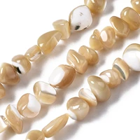 2 strands nuggets trochus loose beads irregular natural shell beads for jewelry making diy bracelet necklace earring accessories