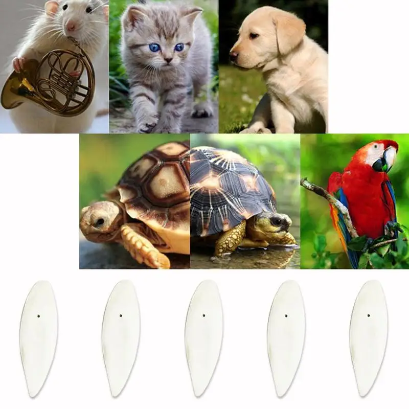 Сухая еда для птиц 2 упаковки кости морской слепки животных птицы рептилии