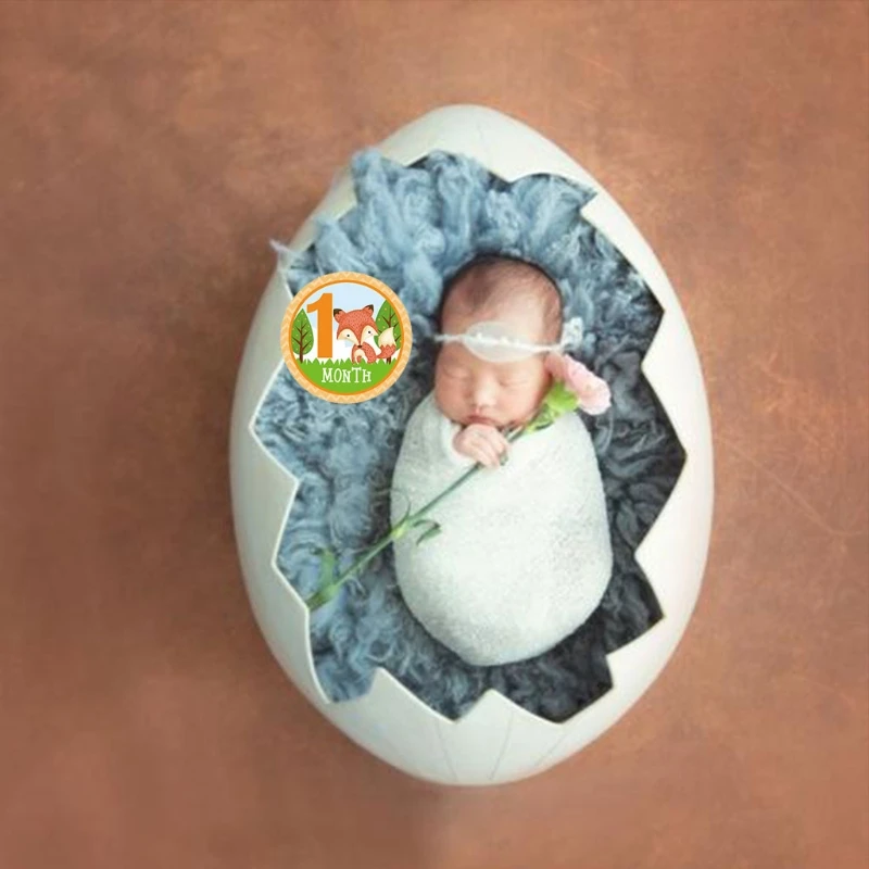 

12 Pcs/Set Cartoon Animal Baby Monthly Stickers Photography Milestone Memorial Month Stickers Newborn Photo Props