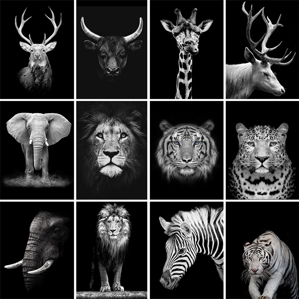 

Black and White Lion Deer Canvas Painting Nordic Animals Posters and Prints Wall Art Pictures for Living Room Home Decoration
