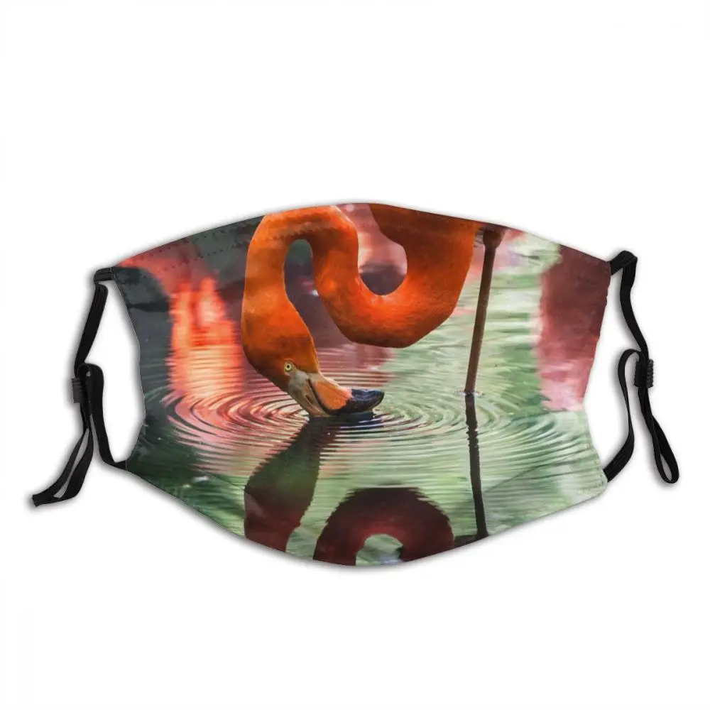 

Animal Flame Bird Washable Printed Mouth Face Mask with Filter Windproof Dust Proof Winter Protection Cover Respirator for Adult