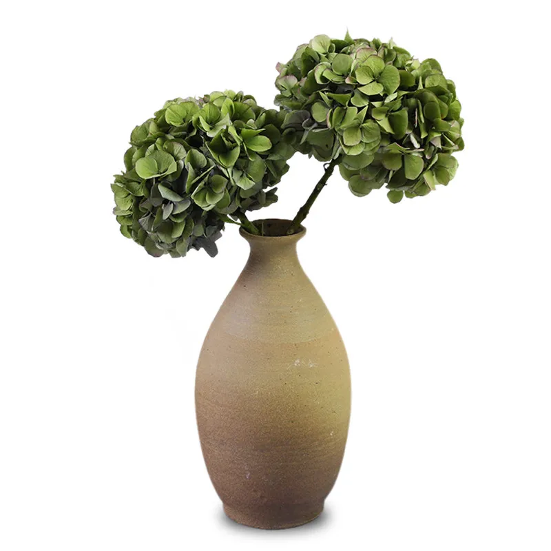 

Limited New Arrival Natural Plants Green Fresh Preserved Flowers 2pcs Dried Hydrangea Flower Head For DIY Vase Material