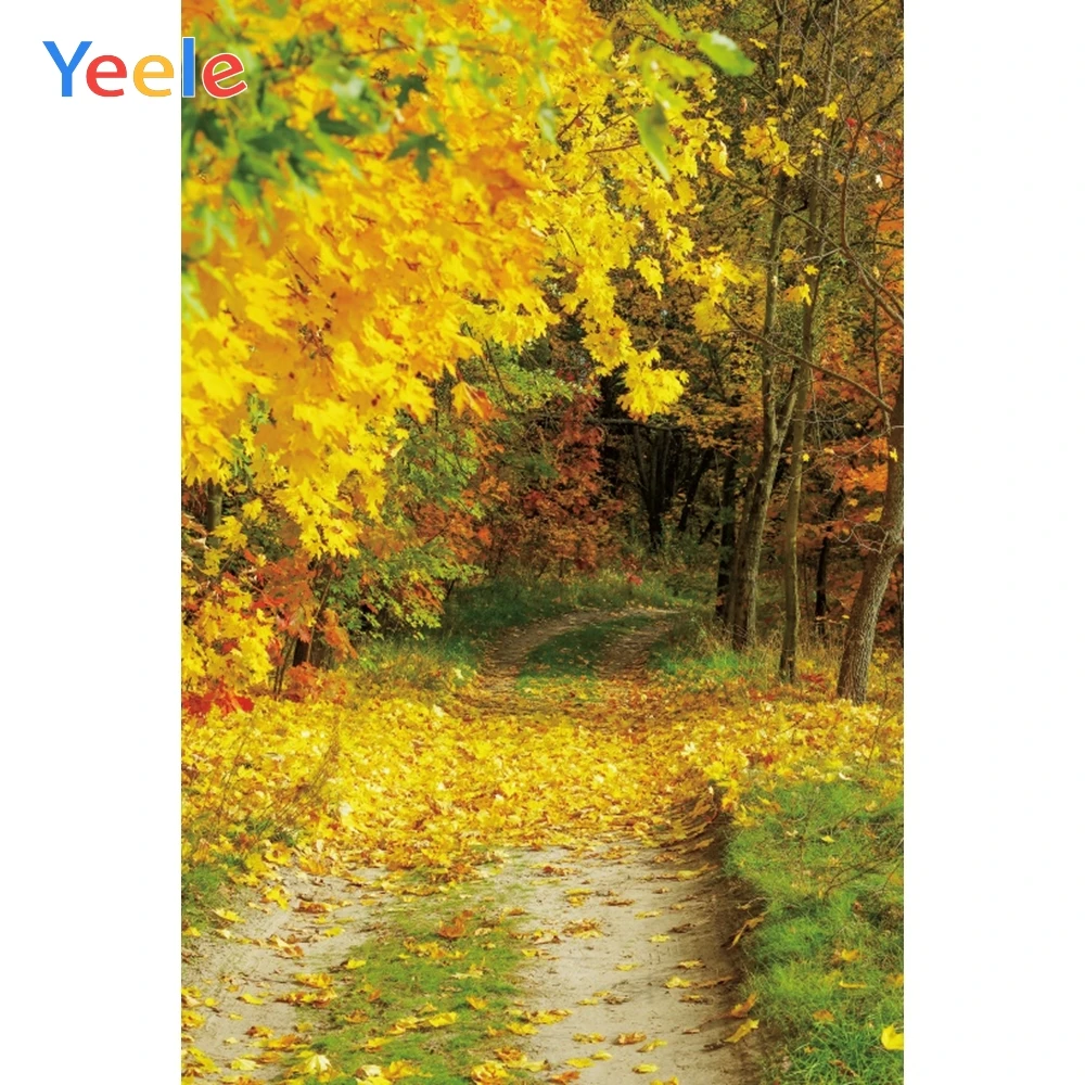 Фон для фотосъемки с изображением осеннего леса листьев природного пейзажа -