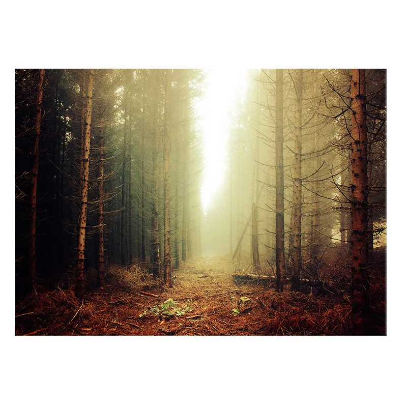 

5D DIY Forest Diamond Painting Full Round Diamond Painting Art Cross Stitch Home Decoration Landscape Painting