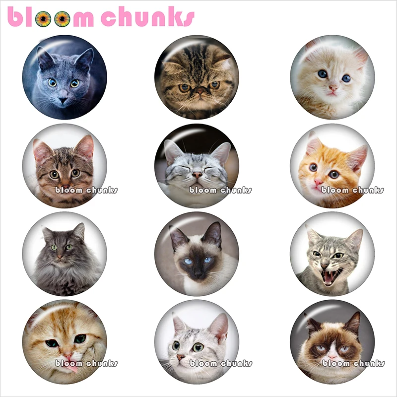 

Animal cat Round photo glass cabochon demo flat back Making findings 12mm/18mm/20mm/25mm A8237
