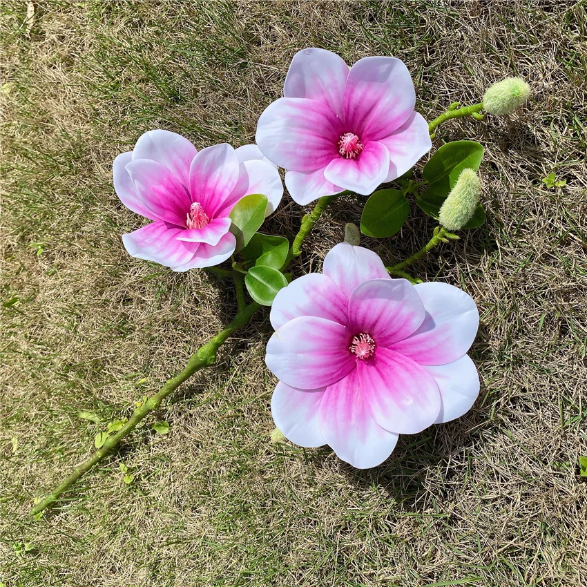 Натуральный большой цветок магнолии ветка с листьями домашний декор