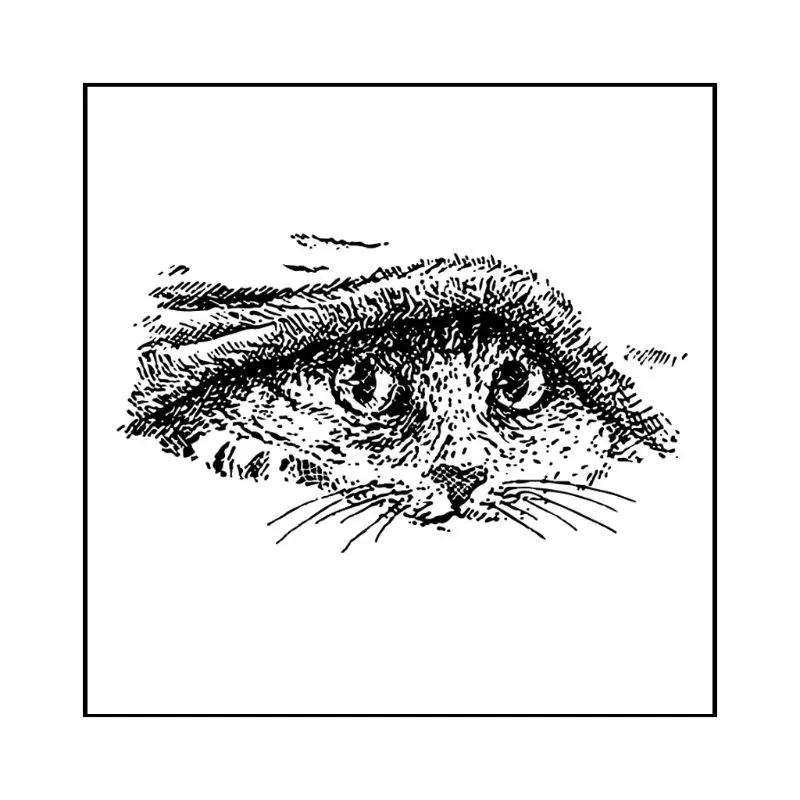 Прозрачный силиконовый штамп в виде кота для скрапбукинга тиснение | Дом и сад