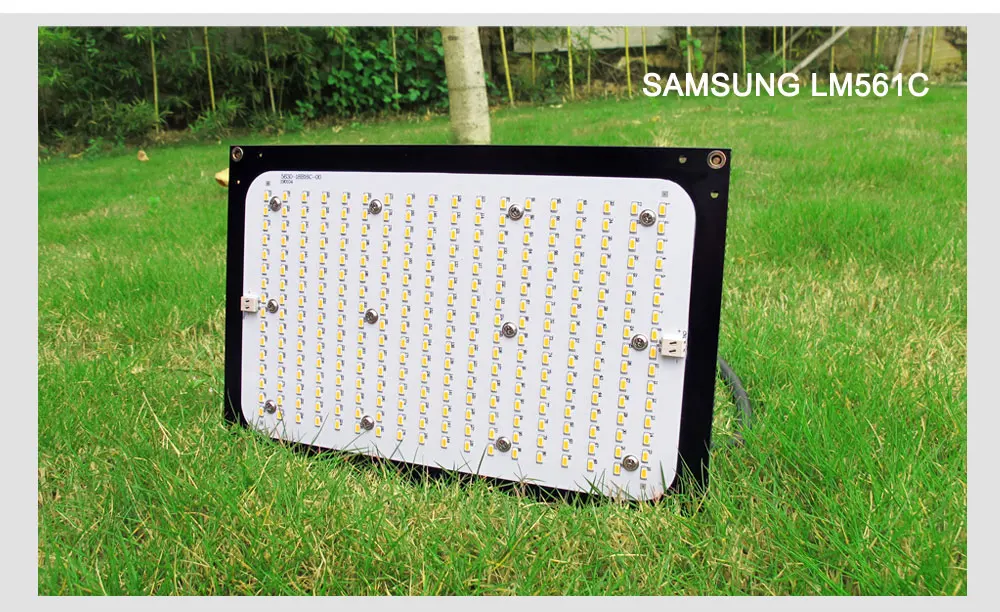 120 Вт 240 Вт samsung LM301B светодиодный светильник для выращивания квантовой доски 3000 К 3500 К полный спектр драйвер Meanwell для комнатных палаток растений