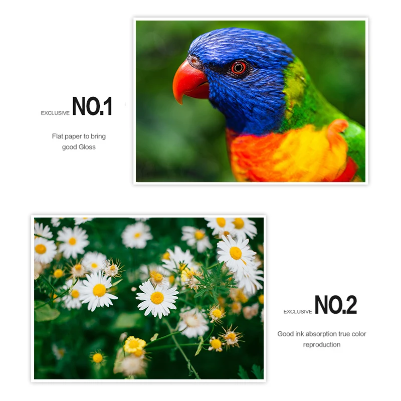 Несколько стилей 6 дюймов фотобумага для Canon Selphy CP серии CP800 CP810 CP820 CP900 CP910 CP1200 CP1300