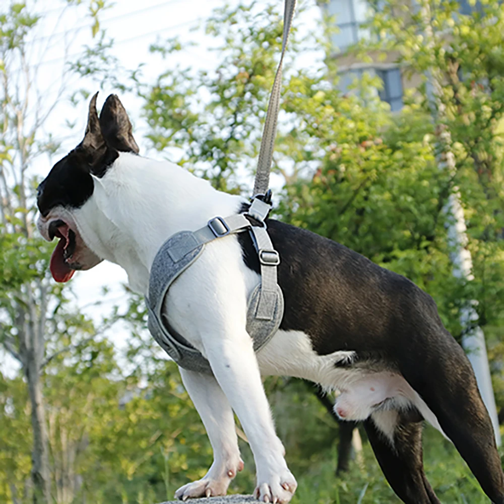 Поводок для собак легко надевается и снимается регулируемый средний большой