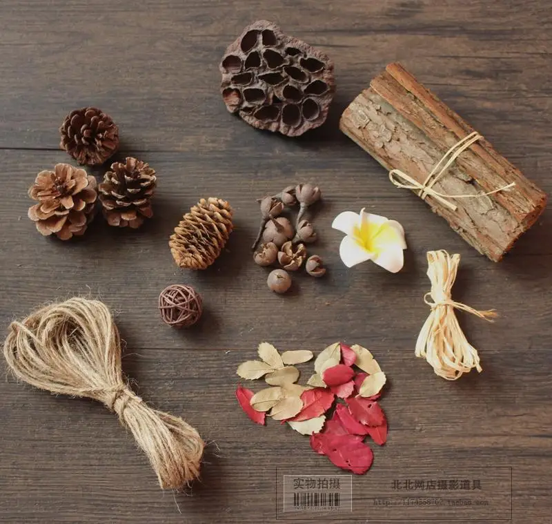 

Retro Forest photography Background props a set of retouched wild dried flowers fruits leaves branches and moss forests