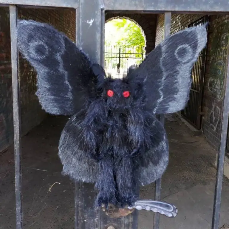 

Gothic Mothman Plushie Is Looking For A Love And Magical Home Stuffed Plush Animals Juguetes Para Toys For Girls