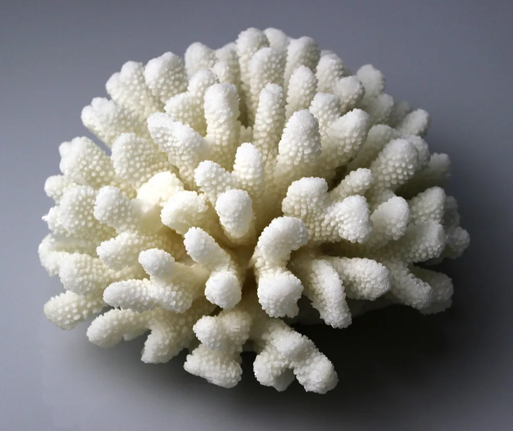 Белый коралл скульптура домашний Декор стильный декоративные элементы