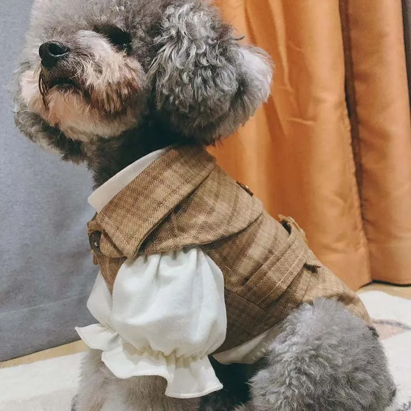 Осенне-зимняя искусственная ветровка милая Тедди Чихуахуа рабочая одежда теплая