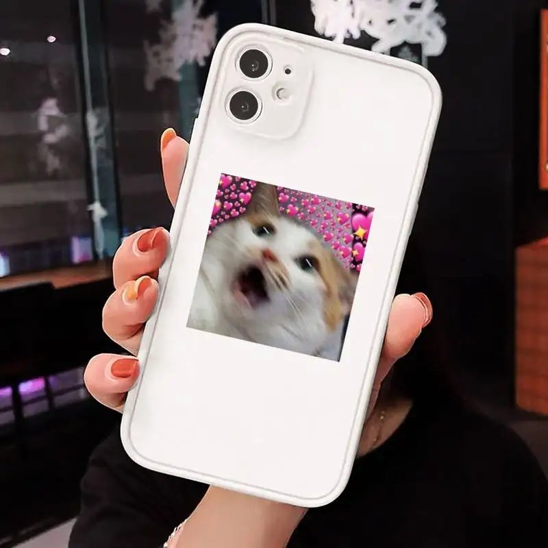 

Lovely cat animal Phone Cases matte transparent For iphone 7 8 11 12 plus mini x xs xr pro max cover