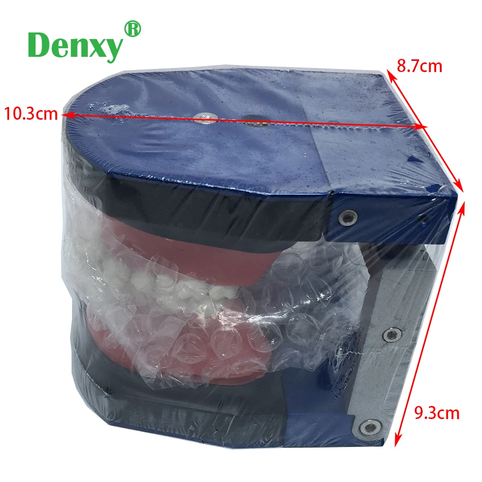 Стоматологическая Ортодонтическая модель Denxy зубного исследования