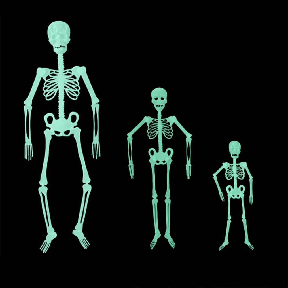 Светящаяся человеческая анатомическая медицинская модель скелета оптовая