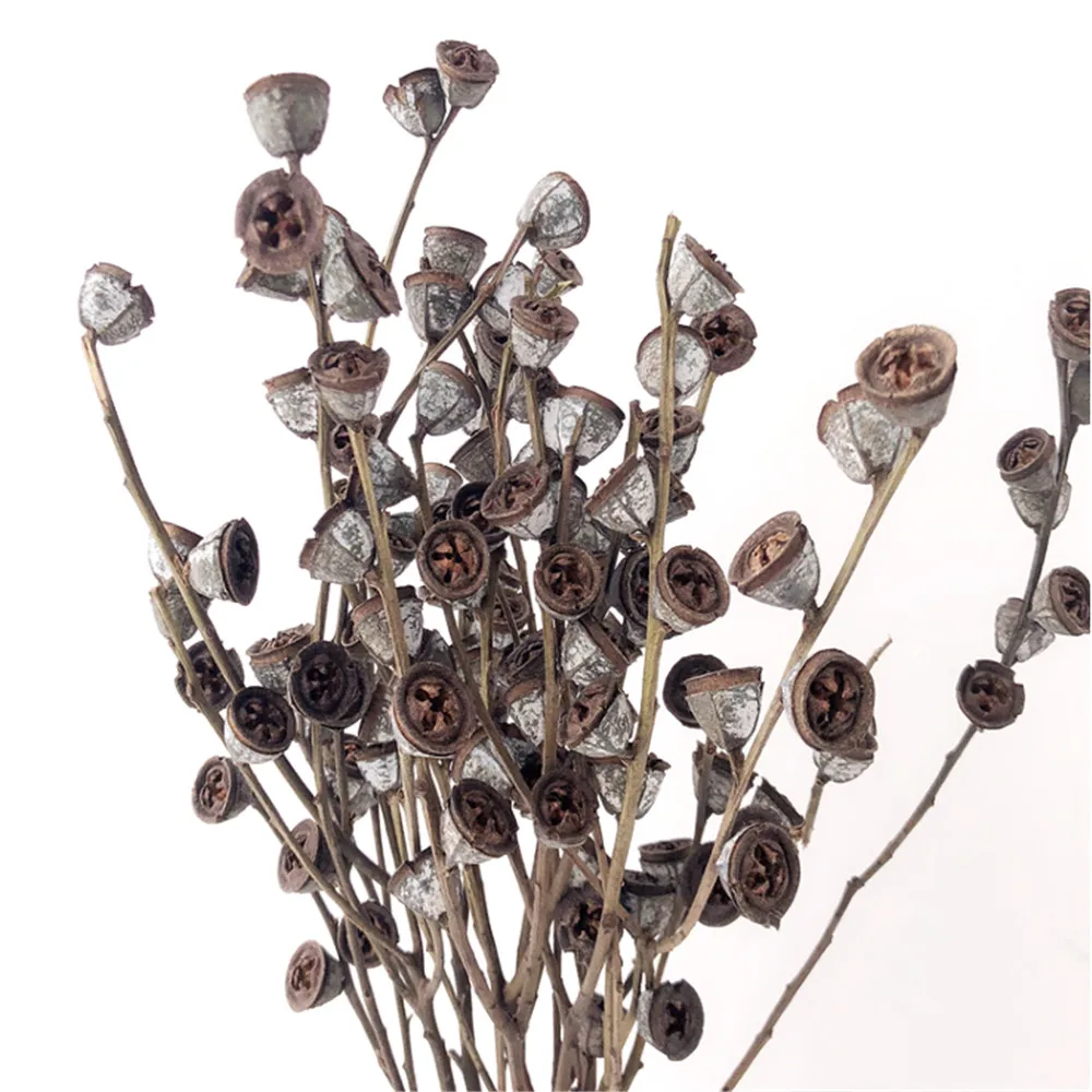 

6 stems 100% natural eucalyptus fruit original ecological dried flowers home wedding decor flowers floral arrangement