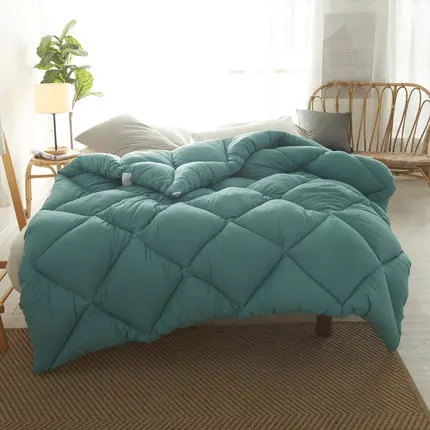 

Very Warm Winter Blanket Comforter Filler Pure Color Winter Quilt Duvet King Queen Twin Size 1.5~3kg Weigte Down Quilt Duvet