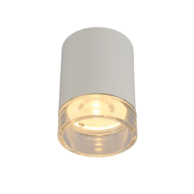 Светильник Aisilan круглый направленный с чернилами или прозрачным антибликовым