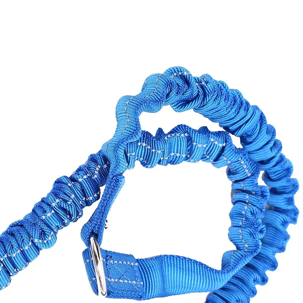 Товары для домашних животных двухголовый p-тип металлическая пряжка Эластичный