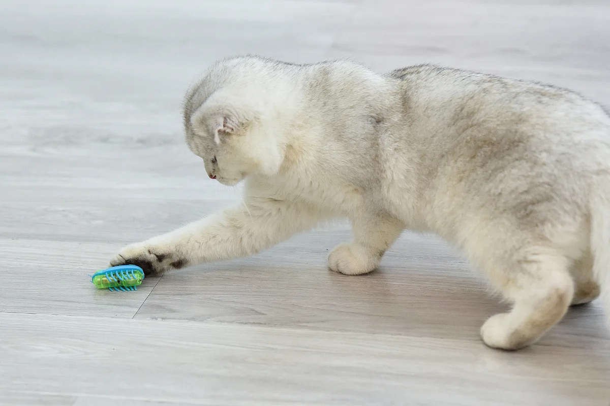 Забавная кошка препятствия автоматическая мышь божья коровка электрическая