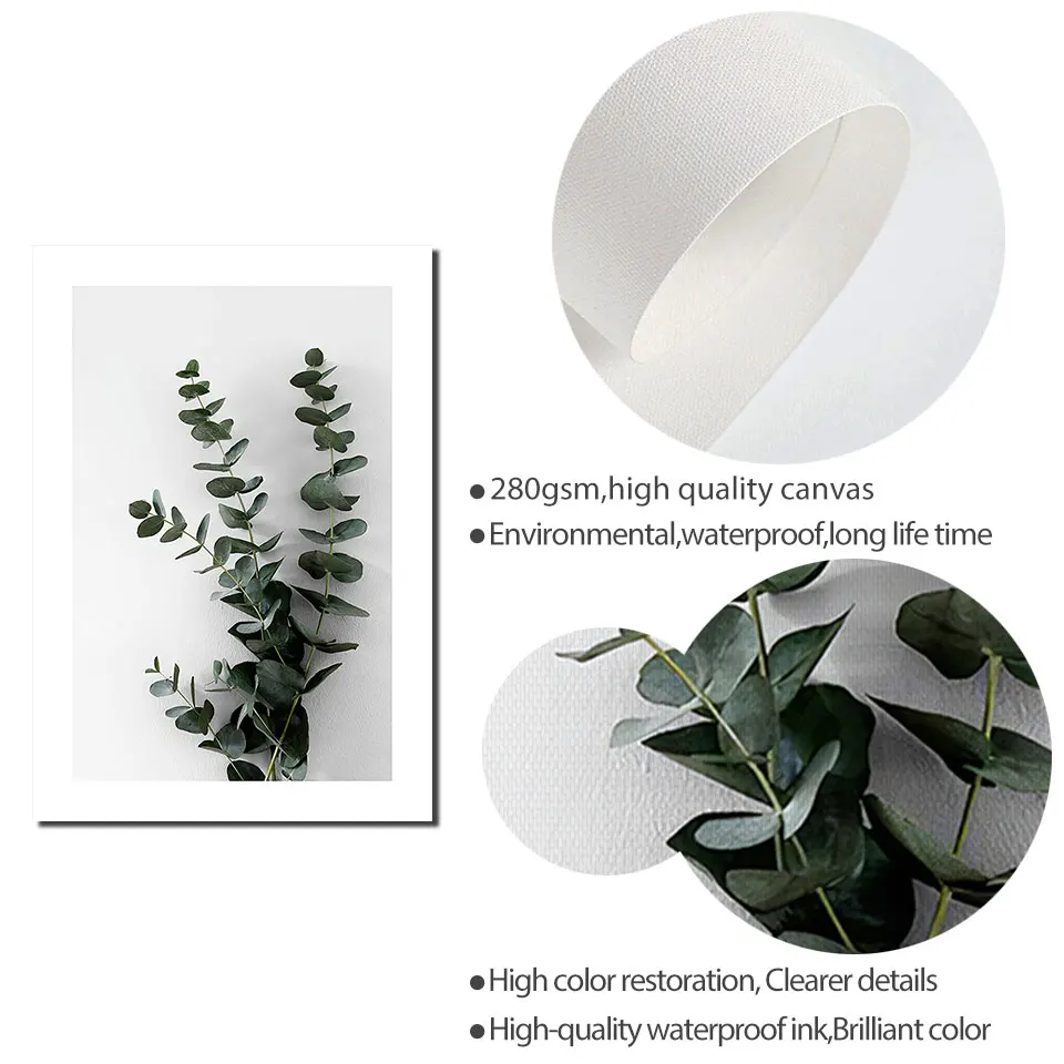 Белая Бриллиантовая ветка эвкалипта Картина на холсте настенные художественные
