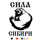 CS-249#21*15см Сила Сибири  водонепроницаемые наклейки на авто наклейки на машину наклейка для авто автонаклейка стикер