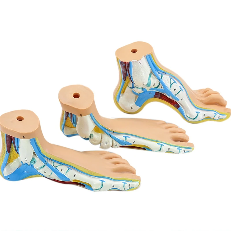 

Educational Equipment & Supplies