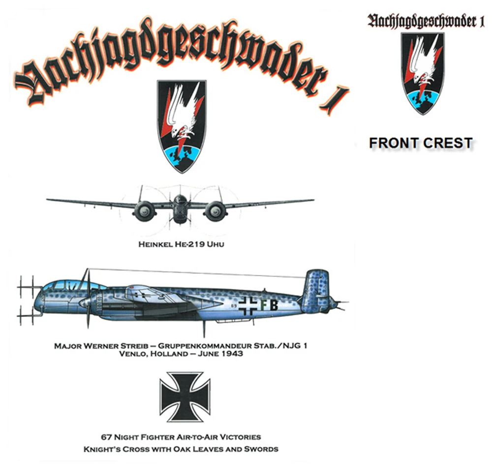 Немецкая футболка ночного истребителя Второй мировой войны NJG 1 Ace Pilot Werner Streib He-219