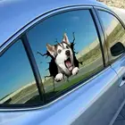 3d креативная наклейка с изображением собак Наклейка для трещин на заднее стекло автомобиля