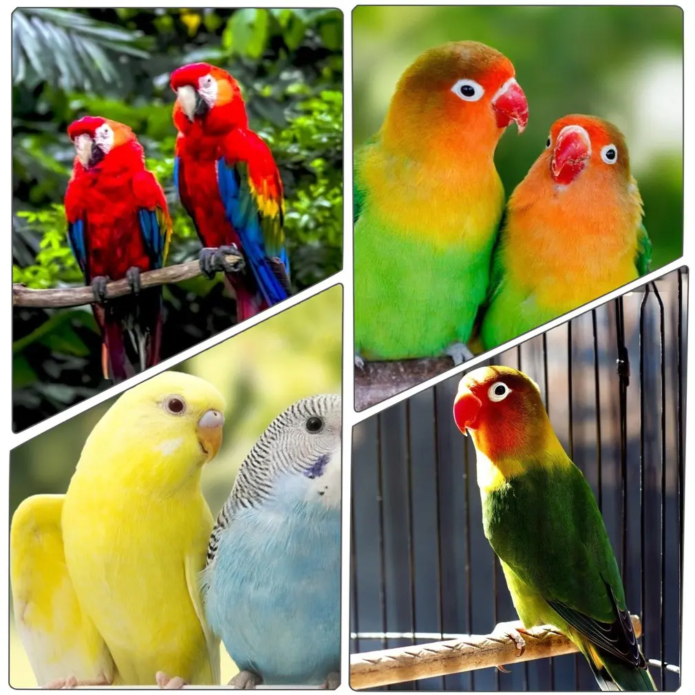 

Pepperwood Chew Toys Parrot Chew Toys Parrot Swing Bird Cage Accessories Pet Supplies Parrot Supplies