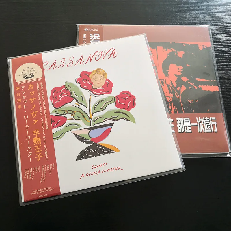 Защитная сумка LEORY 12 дюймов LP для записи наружная из ПВХ вторичной переработки 32