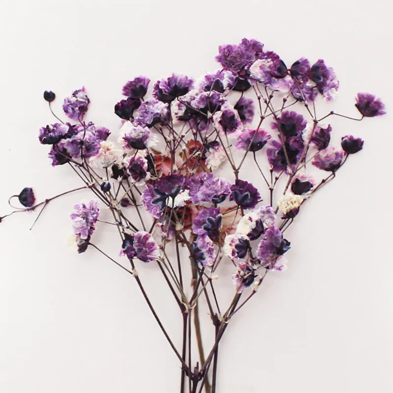 Натуральные сушеные цветы тиснение Botany образец Diy клей ручной оболочки Ароматерапия Свеча фоторамка активность материал наука