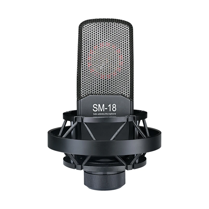 Takstar SM-18 боковой адрес профессиональный микрофон для записи