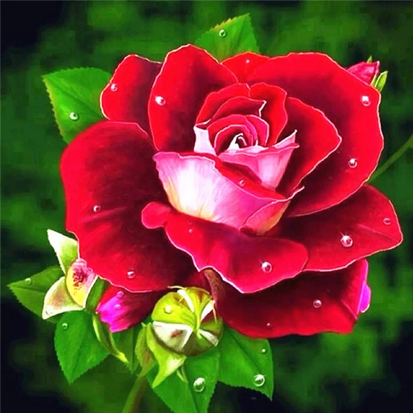 flower 4038 AZQSD Алмазная Вышивка Цветы ручная работа алмазная картина Роза картина Стразы Алмазная мозаика домашний декор ремесла подарок - Цвет: flower 4038