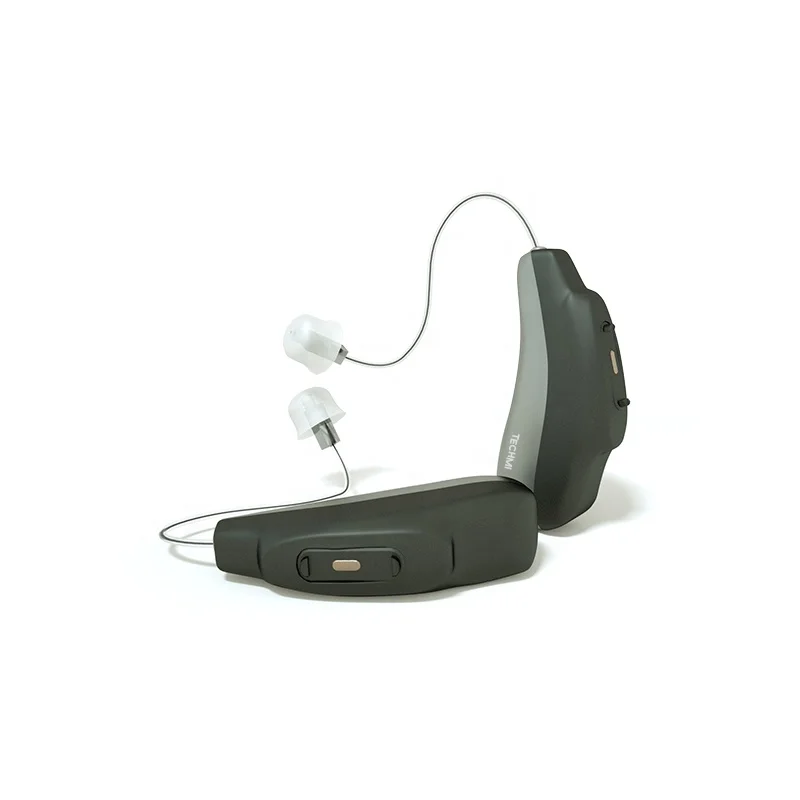 

China Invisible Ear Hearing Aids with Portable Case Rechargeable RIC Hearing Aid